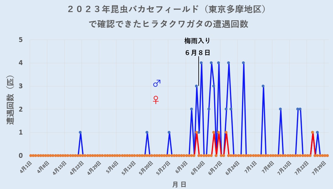 2023年4月～7月　東京多摩地区のクヌギ、ヤナギ等の樹液で確認できたヒラタクワガタ数_230730